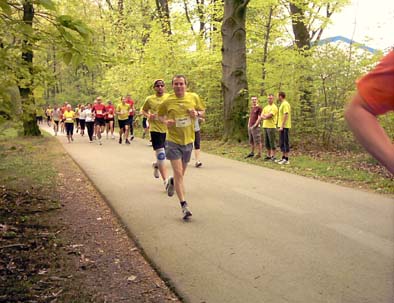 Streckenfoto im Stadtpark